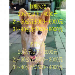 寵物火化的費用