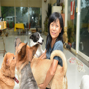 菩提主人