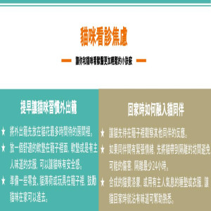 貓咪看診焦慮