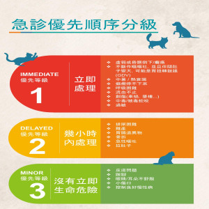 急診優先順序分級