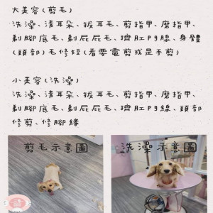 大美容（剪毛）和小美容（洗澡）的差別在這張圖上哦!