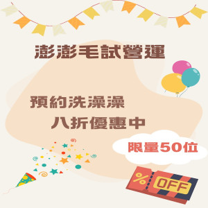 澎澎毛試營運啦～