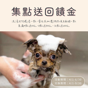 小白屋週年慶活動