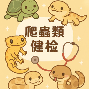 爬蟲寶貝專屬健檢開跑啦！