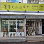 捲捲毛petpet