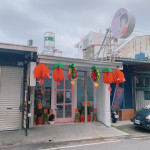 100號寵物美容 