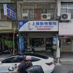 上揚動物醫院
