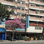 平治動物醫院