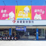 慈愛動物醫院-大灣分院