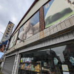 大灣動物醫院